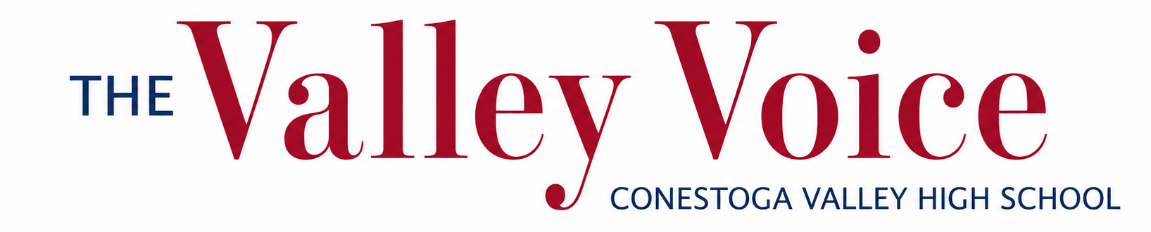 The Valley Voice
